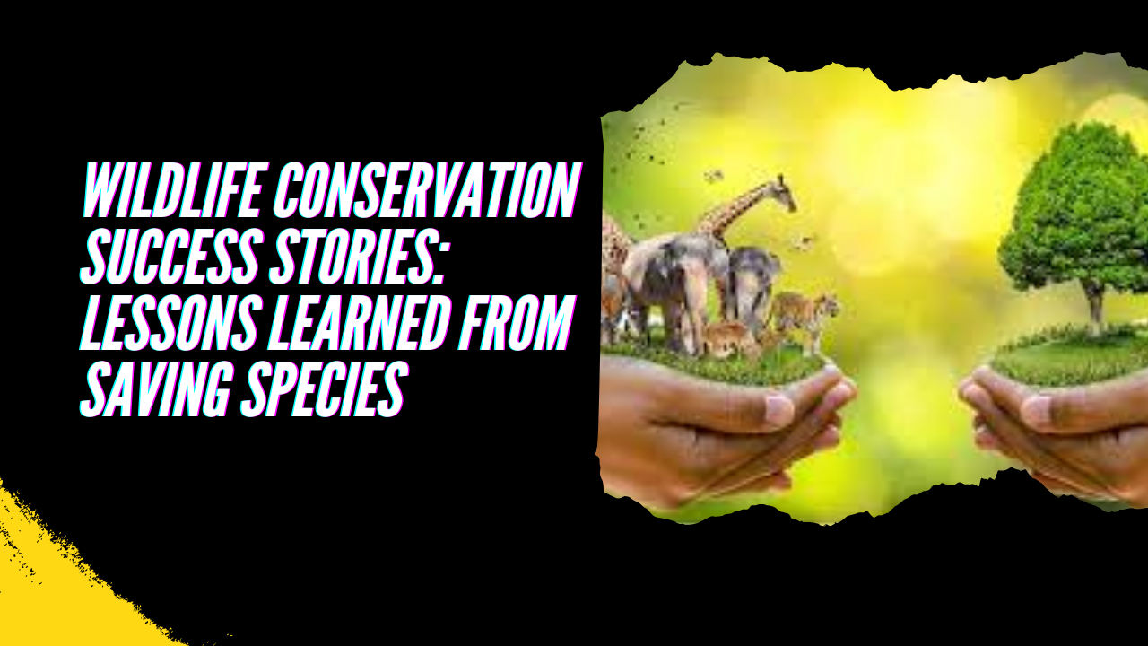 Wildlife Conservation Success Stories: Lessons Learned from Saving Species